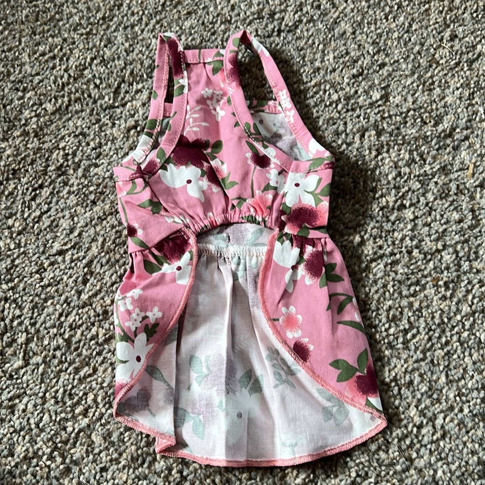 Cat dress - Picture 2 of 3